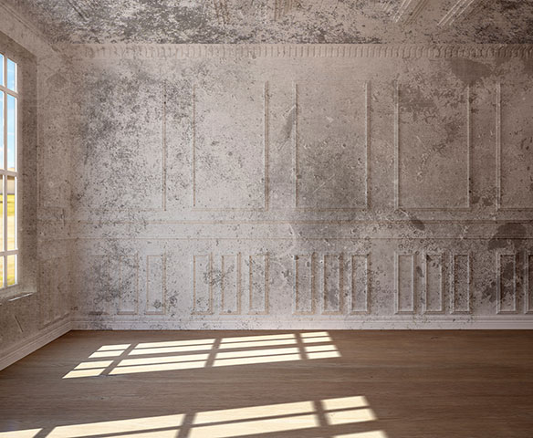 a2 Magic Brush - Painting Company Chicago