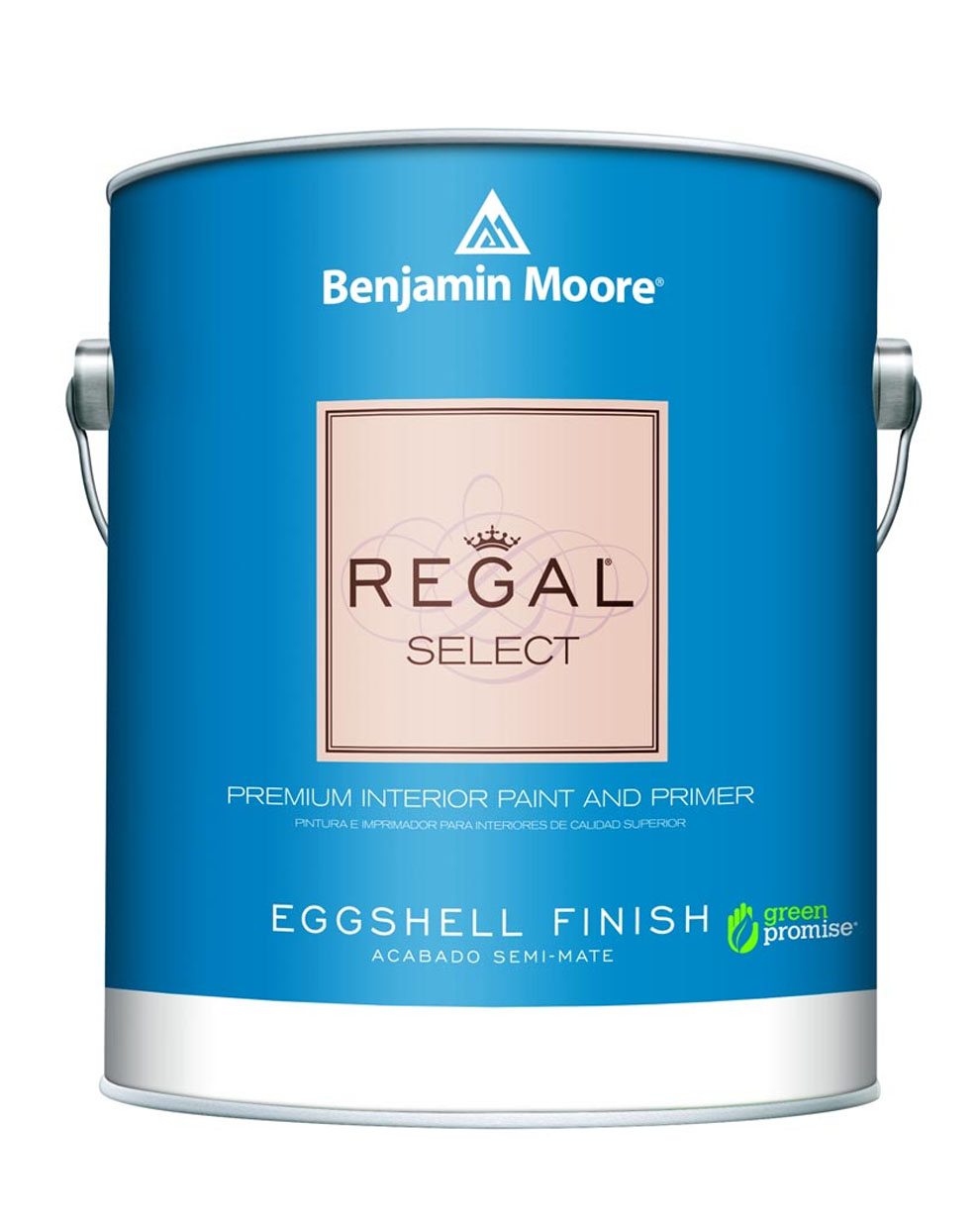 regal Magic Brush - Painting Company Chicago